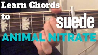 ♫ Animal Nitrate - Suede (Acoustic Cover) ♫ - learn guitar chords