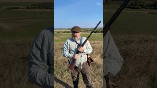 Ходовая охота с легавой, техника работы с оружием.