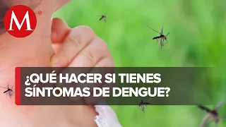 ¿Qué es el dengue? Síntomas, periodo de incubación, tratamiento y pruebas
