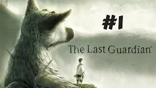 The Last Guardian Walkthrough Part 1 - A New Friend - Gameplay/Commentary
