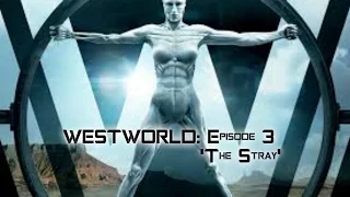 Westworld: Episode 3 'The Stray' Review and Thoughts