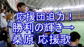 【応援団真横 迫力！】横浜DeNA 応援歌 1回表 勝利の輝き→ローズ→桑原 東京ドーム 2016-8-9