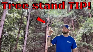 Tree stand Placement Strategies KEEP IT SIMPLE!