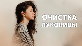 “Я” НИЧЕГО НЕ НАШЕЛ [Стефен Волински - Квантовое сознание]