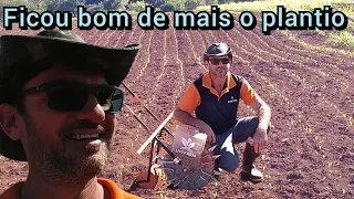 Mostrando o milho plantado com a plantadeira de empurrar#gradeando#plantando mais milho 🌽.