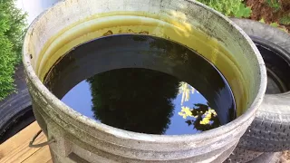 Separating Water from Used Oil