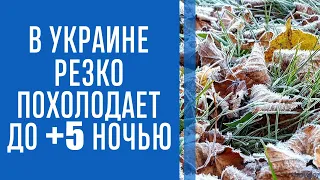 В Украине ударит мороз и налетит резкое похолодание