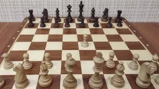 Сильная дебютная ЛОВУШКА в которую попадут ВСЕ сильные Шахматисты. Шахматы ловушки