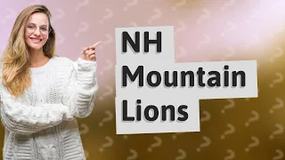 Are mountain lions in NH?