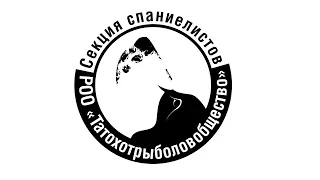 Русский охотничий спаниель "Слепая подача, упражнение 2,3"