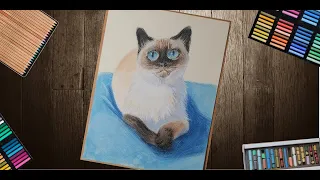 Кот пастелью поэтапно - рисуем и учимся