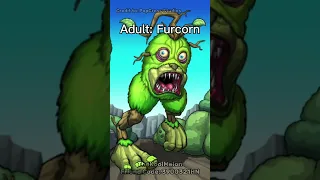 My Singing Monsters Baby To Adult