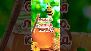 С Медовым Спасом 🍯 с Маковеем! Сладкой жизни как мёд! 14 августа 🌺 Песня🎉 Медовый Спас 🌸 Маковей