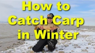 How to catch carp in the winter - cold weather carp fishing and bait