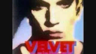 The whole shebang - Velvet Goldmine