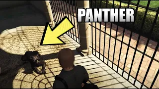 What Will Happen If You Get Inside The Panther Cage With A Living Panther in GTA 5 Online?