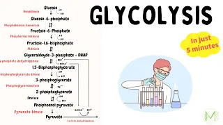 Glycolysis | Made easy in just 5 min | Biochemistry | Medinare