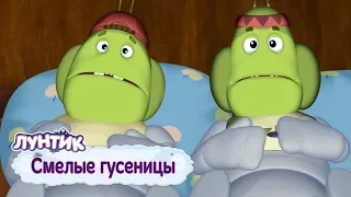 Смелые гусеницы 🐛 Лунтик 💪 Сборник мультфильмов 2019