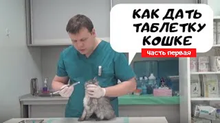 Как дать таблетку  кошке? Часть первая