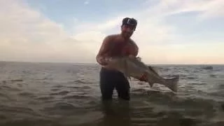 25 Pounders During The Day | Shore Fishing on Cape Cod