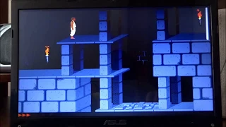 Prince of Persia DOS game on Asus K53TK