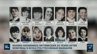 Awareness on femicides 32 years after Montreal Polytechnique massacre