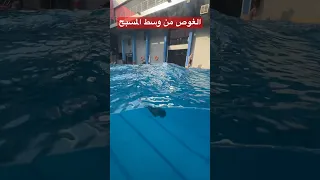 الغوص من وسط المسبح