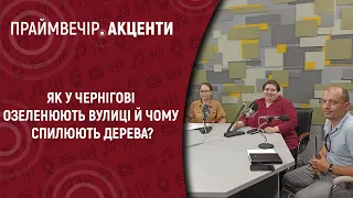 Як у Чернігові озеленюють вулиці й чому спилюють дерева? | Праймвечір. Акценти