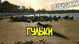 #геленджик голуби на море Набережная Геленджика 🏖️