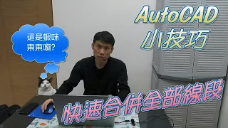 AutoCAD | OVERKILL | 快速合併全部線段 (2020)