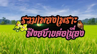 รวมเพลงเพราะ ฟังสบายต่อเนื่อง