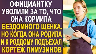 Официантку уволили за то, что она кормила бездомного щенка. Но когда к роддому подъехал кортеж...