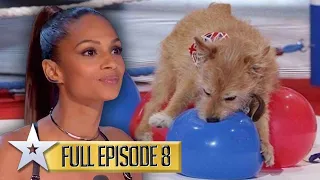Dog act BREAKS Guinness World Record | Britain's Got Talent | Series 9 | Episode 8 | FULL EPISODE