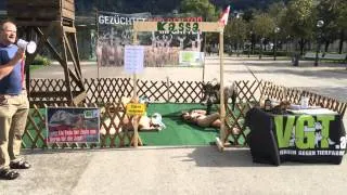 Nackt-Protest gegen Gatterjagd an der Seepromenade in Bregenz