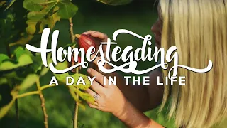 A Day in the Life of a Homesteader | FILM