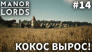 ПРОХОЖДЕНИЕ MANOR LORDS: Кокос вырос! #14