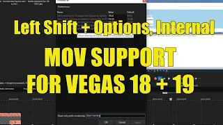 FIX Vegas January 2022 MOV FINAL FIX for 18 & 19 Only  (Left Shift + Options, Internal)