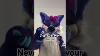 Never meet your heroes #furry #furries #fursuit