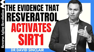 The Evidence That Resveratrol Activates SIRT1 | Dr David Sinclair Interview Clips