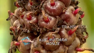 KUE MUTIARA HONJE | JEJAK SI GUNDUL (17/07/23)