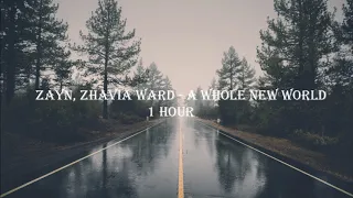 ZAYN, Zhavia Ward - A Whole New World 1 HOUR LOOP