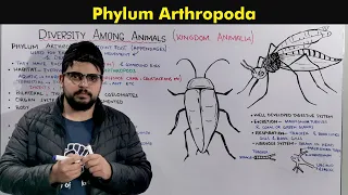 Phylum Arthropoda (General Characteristics and Overview)