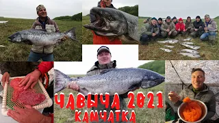 Рыбалка на Камчатке. Чавыча 2021. Вот это клев! Рыбалка на Камчатке на реке Большая. Камчатка.