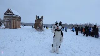 Празднование Йоля в питомнике сибирских хаски DogWinter. Сосновка - Саратов.