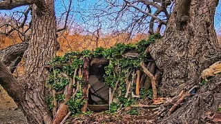 Building of a shelter inside a Giant tree_Bushcraft SURVIVAL Camping.