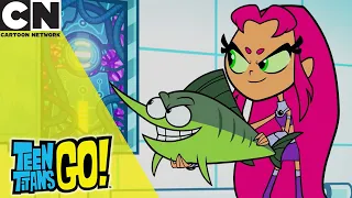 Teen Titans Go! | Robin Teaches Titans About Irony | Cartoon Network UK 🇬🇧