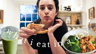 WHAT I EAT IN A DAY | Realistic & Intuitive VEGAN | VLOGMAS 12