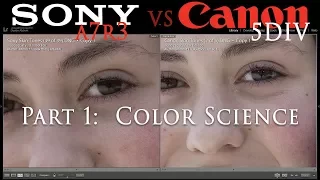 Sony a7R3 vs Canon 5D Mark IV | Part 1:  Color Science | 4K