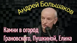 Андрей Большаков кинул камни в огород Грановского, Пушкиной, Елина