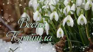 Привітання З Першим Днем Весни. Весна Прийшла! З початком весни